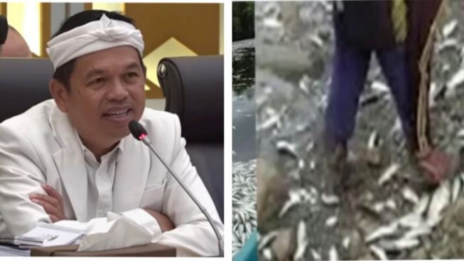 26 Tahun Freeport Buang Limbah ke Sungai Papua, Dedi Mulyadi Sentil KLHK: Ini Problem Serius!